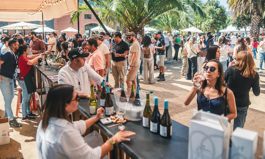5 Versin de la Fiesta Vitivincola del Valle de San Antonio 