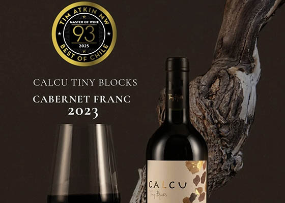 Grandes noticias para los vinos �Tiny Blocks� de Calcu Wines